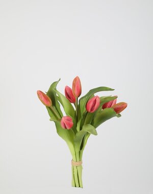 Colours & Green Tulip Bundle x7 32cm roze