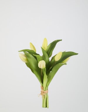 Colours & Green Tulip Bundle x7 32cm wit
