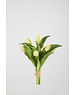 Colours & Green Tulip Bundle x7 32cm wit