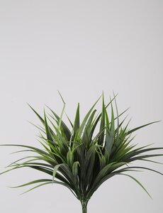 Colours & Green Grass Bush 35cm