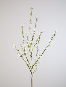 Colours & Green Jasmine Spray 96cm