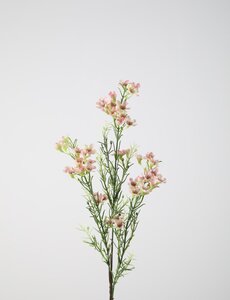 Colours & Green Wax Flower Spray x3