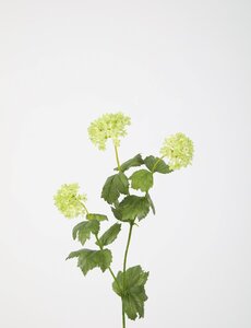 Colours & Green Snowball Branch x3 69cm