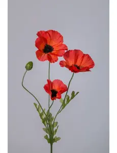 Colours & Green Poppy Spray 63cm oranje