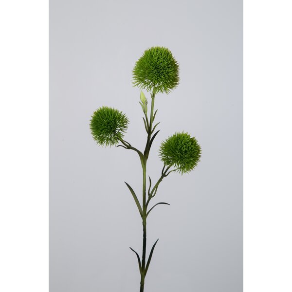 Colours & Green Carnation Green Trick 60cm