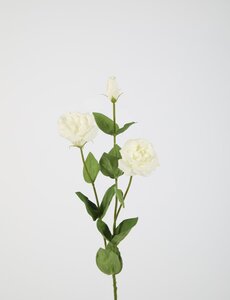 Colours & Green Lisianthus Spray Real Touch 73cm