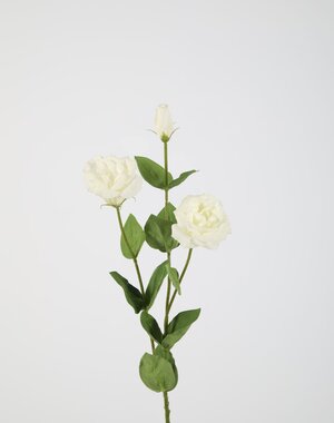 Colours & Green Lisianthus Spray Real Touch 73cm