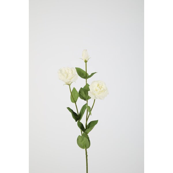 Colours & Green Lisianthus Spray Real Touch 73cm