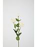 Colours & Green Lisianthus Spray Real Touch 73cm