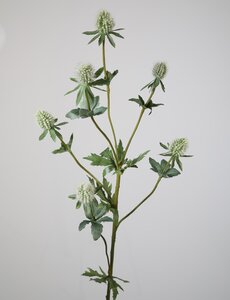 Colours & Green Small Eryngium Spray 71 cm