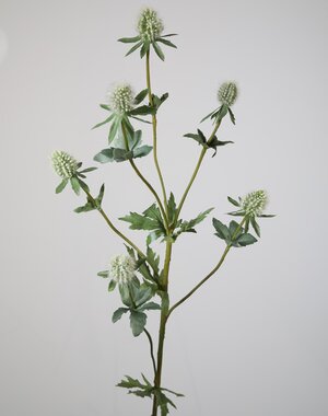 Colours & Green Small Eryngium Spray 71 cm