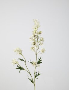 Colours & Green Larkspur 77 cm