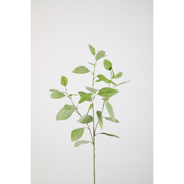 Colours & Green Eucalyptus spray x 3 w/33 Ivs 82 cm