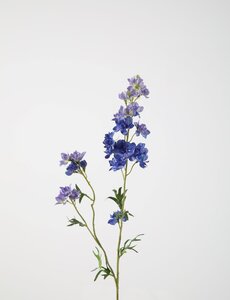 Colours & Green Larkspur 77 cm blauw