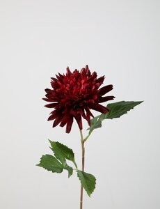 Colours & Green Dahlia spray 65 cm dia 13 cm