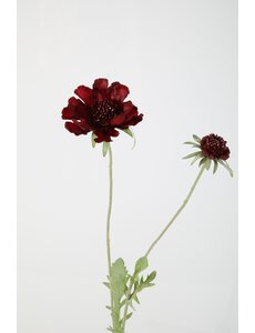 Colours & Green Scabiosa spray 71 cm