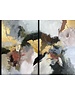 Euro Art Schilderij tweeluik, 407893 emperador 117x154
