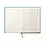 Designworks Collective Suedette Hardcover Journal - green - linear B