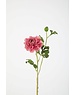 Colours & Green Zinnia Spray 71cm roze