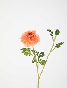 Colours & Green Zinnia Spray 71cm oranje