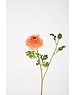 Colours & Green Zinnia Spray 71cm oranje