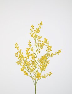 Colours & Green Mimosa Spray 70cm
