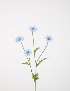 Colours & Green Daisy Spray 64cm