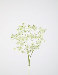 Colours & Green Gypso Spray 73cm