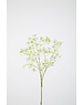 Colours & Green Gypso Spray 73cm
