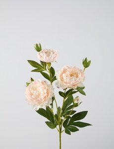 Colours & Green Peony Spray 76cm