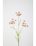 Colours & Green Queen Anne's Lace 84cm