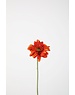 Colours & Green Single Mini Gerbera 47cm rood