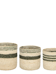 Mica Jameson mand groen