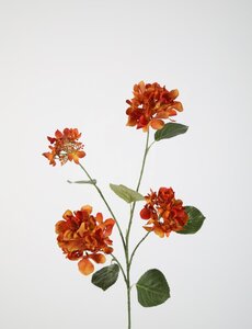 Colours & Green Hydrangea Spray 80cm