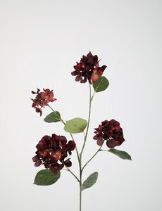 Colours & Green Hydrangea Spray 80cm