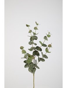 Colours & Green Eucalyptus Spray 87cm