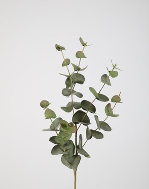 Colours & Green Eucalyptus Spray 87cm