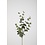 Colours & Green Eucalyptus Spray 87cm