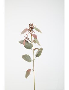 Colours & Green Eucalyptus Seed Spray 89cm