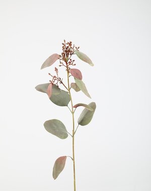 Colours & Green Eucalyptus Seed Spray 89cm