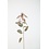 Colours & Green Eucalyptus Seed Spray 89cm