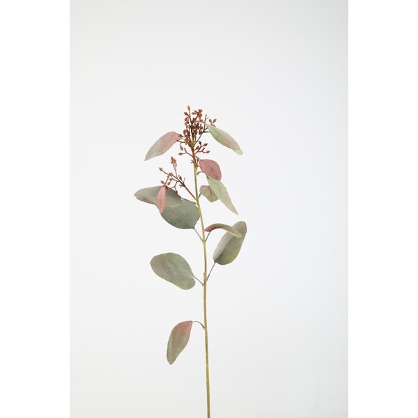 Colours & Green Eucalyptus Seed Spray 89cm