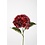 Colours & Green Hydrangea Stem 70cm
