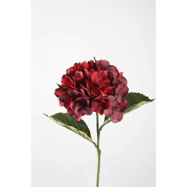 Colours & Green Hydrangea Stem 70cm