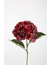 Colours & Green Hydrangea Stem 70cm