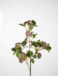 Colours & Green Weeping Berries Stem 85cm