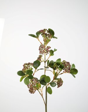 Colours & Green Weeping Berries Stem 85cm