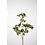 Colours & Green Weeping Berries Stem 85cm