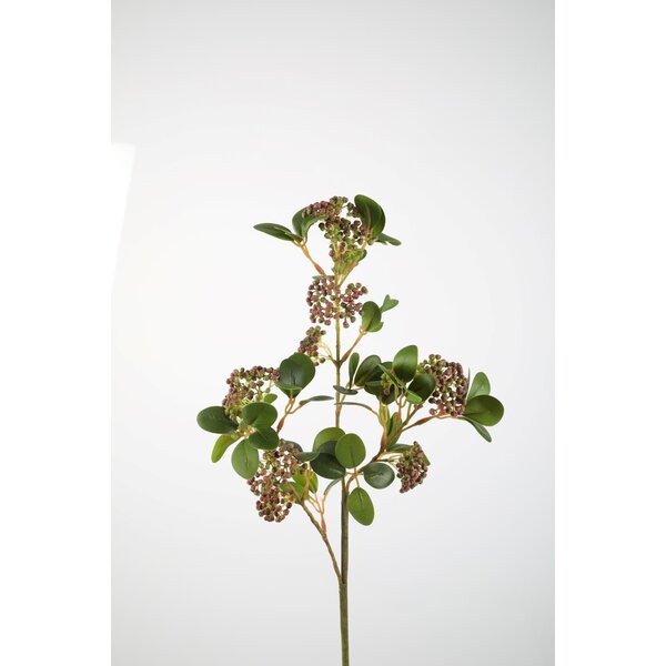 Colours & Green Weeping Berries Stem 85cm