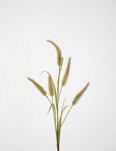 Colours & Green Cattail x5 Leaves 85cm